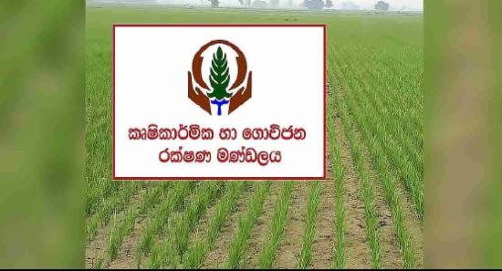 ගංවතුරෙන් ගොවීන් ලක්ෂකගේ වගාබිම්වලට හානි